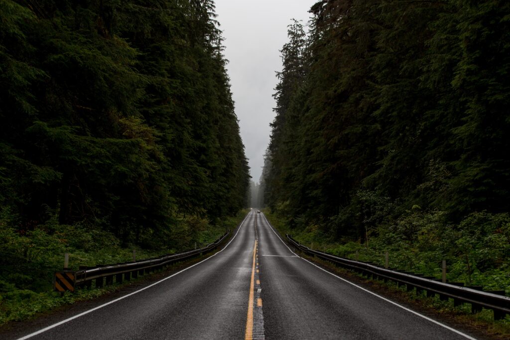 Highway lanes between trees on both sides